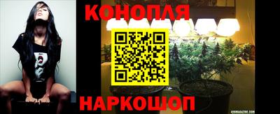 spice Лесосибирск