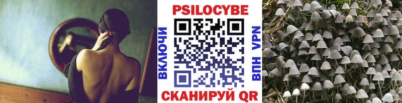 Псилоцибиновые грибы ЛСД  Купить закладки  Зеленодольск 